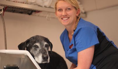 April Blog Senior Dogs (405 x 238 px).jpg